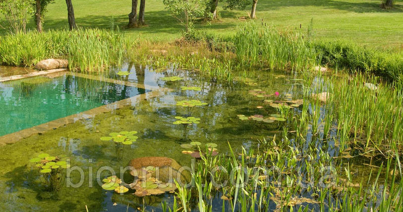Фільтр для водойми., фото 1