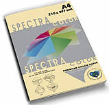 Папір кольоровий Spectra Color А4 160 г/м2 100 слонова кістка, фото 2