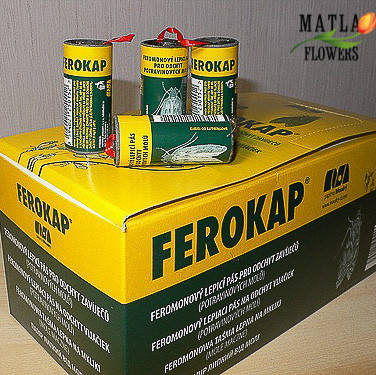 Купити Ferokap липучка от моли, ціна 9.89 грн - Prom.ua (ID# 1179456131)