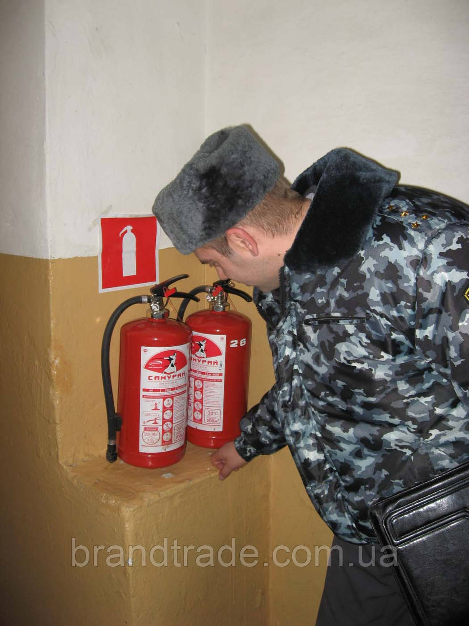 Ревизия