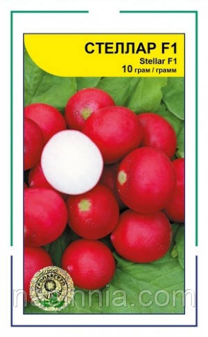 Редиска Стелар F1 10 грам