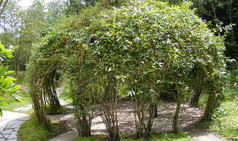 Садова альтанка з композитної арматури