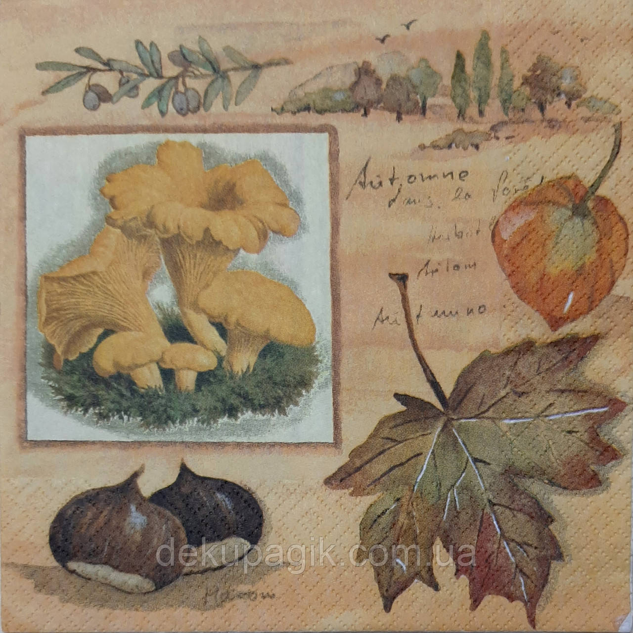 Серветка для декупажу ГР-2, 33х33см, фото 1