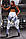 Жіночі стильні лосини/легінси для занять спортом/фітнесом «Fitness lovers» line (білий), фото 2