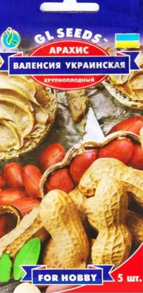 Насіння Арахісу Валенсія Українська 25 насіння, GL SEEDS, фото 2