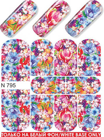 СЛАЙДЕР-ДИЗАЙН — N 795, фото 1