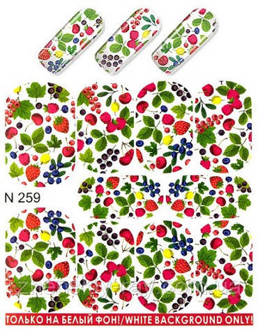 Слайдер-дизайн — N259р, фото 1