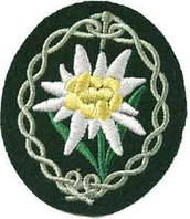 Нарукавная нашивка горных егерей WH. Gebirgsjager Edelweiss sleeve badge.