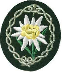 Нарукавна нашивка гірських егерів WH. Gebirgsjager Edelweiss sleeve badge.