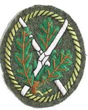 Зовнішня нашивка егерей-лижників. WH Ski-Jager arm badge.