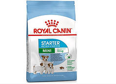 Сухий корм Royal Canin Mini Starter для собак дрібних порід в період вагітності і лактації, для цуценят