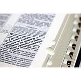 Біблія російською мовою, у шкірі бордова з пошуковими індексами та позолоченими сторінками, фото 4