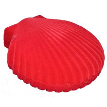 Футляр "черепашка" червоний для кольє та гарнітура