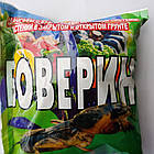 Боверин 🛡️🌱