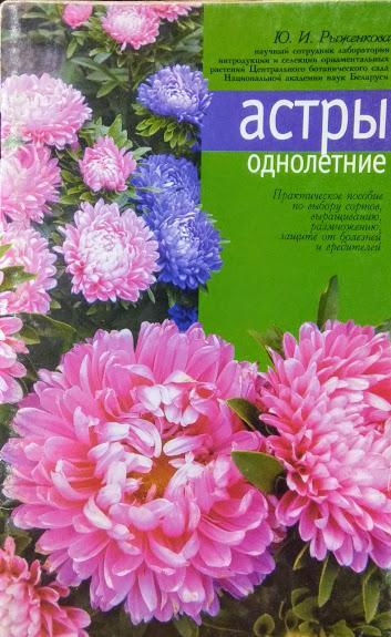 Астри однорічні. Рудовання Ю.