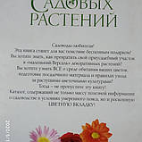 Енциклопедія садових рослин Книга квітникарям-любителям, фото 6