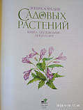 Енциклопедія садових рослин Книга квітникарям-любителям, фото 3