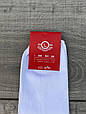 Чоловічі шкарпетки Sport socks шкарпетки стрейчеві короткі розмір 40-44 12 шт в уп Білі, фото 3