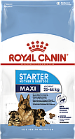 Royal Canin Maxi Starter 4 кг корм для щенков крупных пород до 2-х месяцев, беременных и кормящих собак