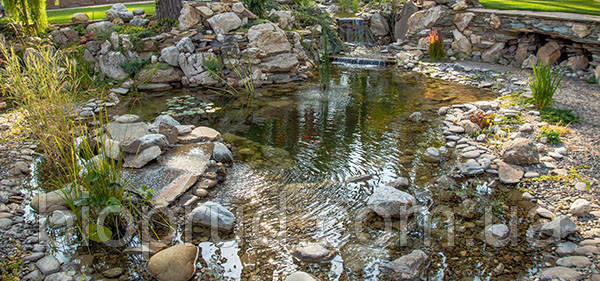 Декоративний ставок на ділянці.