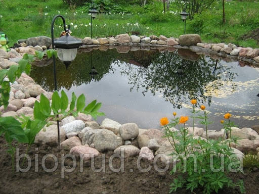 Побудувати декоративний ставок., фото 1