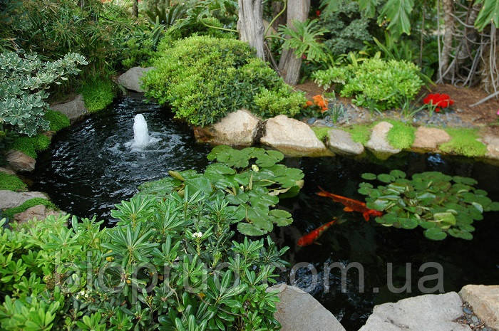 Декоративний ставок із водоспадом.