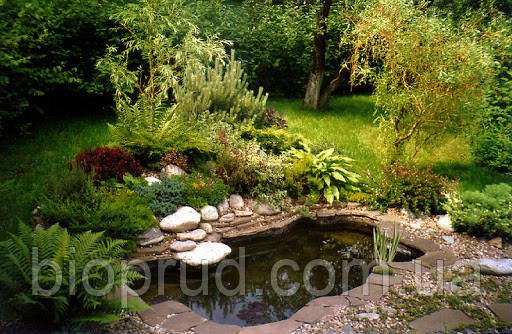 Штучний ставок.