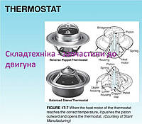 Термостат двигателя для погрузчика Linde H20