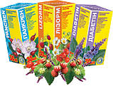 Джерело (ТМ Екомед) - для імунітету, фото 2