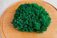 Стабілізований мох ягель український смарагдовий 0.5 кг