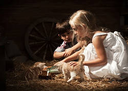 Фото листівка "Деті з кошенятами"
