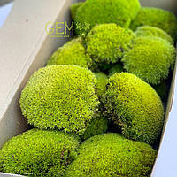 Стабілізований мох Green Ecco Moss купина лайм 0.5 кг.