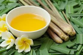 Citronella Oil Олія цитронели