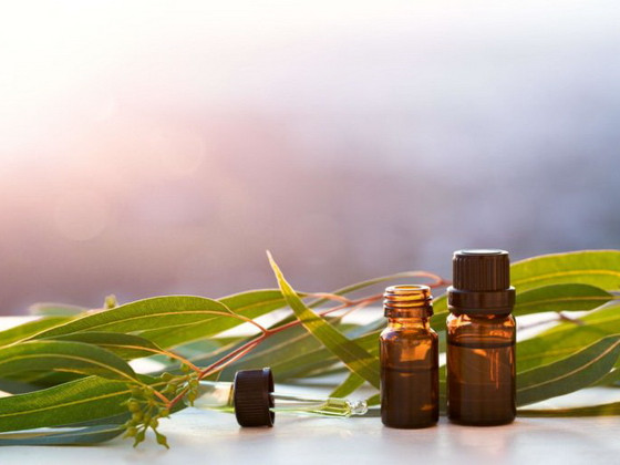 Eucalyptus Oil (Евкаліптова олія)