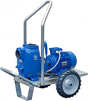 Насос відцентровий самовсмоктувальний VARISCO JE 3-140 P10 MT20 TROLLEY на візку