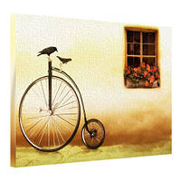 Картина на полотні 45х65 Велосипед (H4565_YM011)