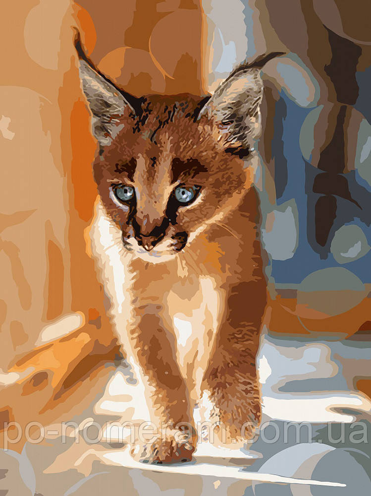 Акційна Розмальовка по цифрам Ідейка Маленький каракал (KHO4165) 40 х 50 см, фото 1