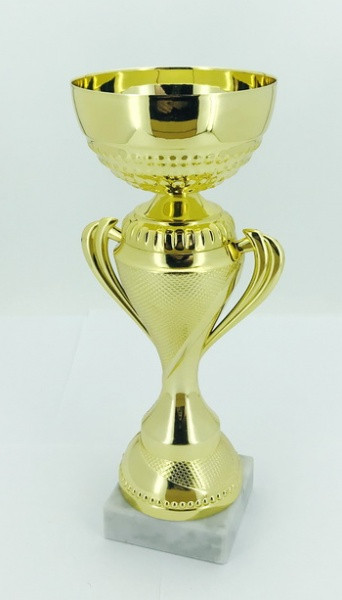 Кубок K1 743