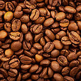 Обсмажування кави Mammy CoffeeTM, фото 4