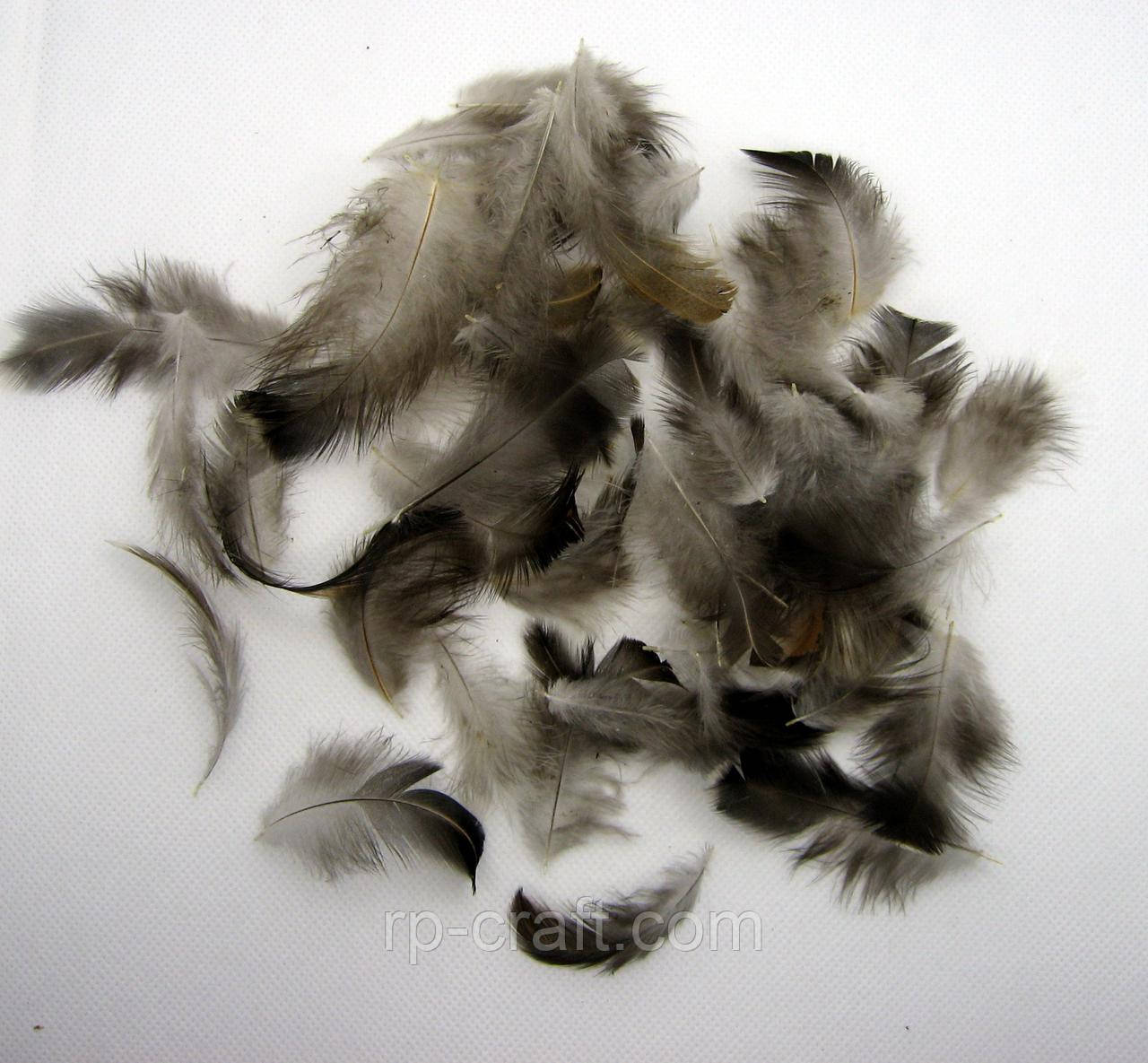 Набір пір'я натурального, 5-8 см, 50 штук, фото 1