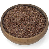 Рис червоний дикий довгозерний, фото 2