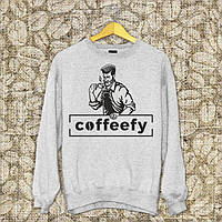Чоловічий світшот з оригінальним принтом "Coffeefy" Push IT S, Сірий