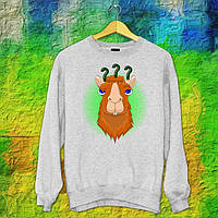 Чоловічий світшот з оригінальним принтом Альпака "???" Push IT S, Серий