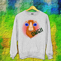 Чоловічий світшот із оригінальним принтом Альпака "OMG!!" Push IT S, Серий