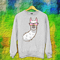 Чоловічий світшот з оригінальним принтом Альпака біла в кольорових окулярах Push IT S