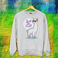Чоловічий світшот із оригінальним принтом Альпака "Jusy be cool!" Push IT S, Серий