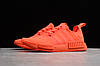 Кроссовки женские Adidas NMD R1 / ADM-3270, фото 3