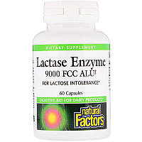 Natural Factors, Lactase Enzyme, Фермент лактаза 9000 FCC ALU, 60 капсул