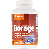 Jarrow Formula, Borage, Олія буранчика, GLA-240, 1200 мг, 120 м'яких желатинових капсул