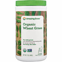 Amazing Grass, Органічні паростки пшениці, 480 г (17 унцій)